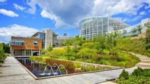 Sustainable outdoor landscaping
