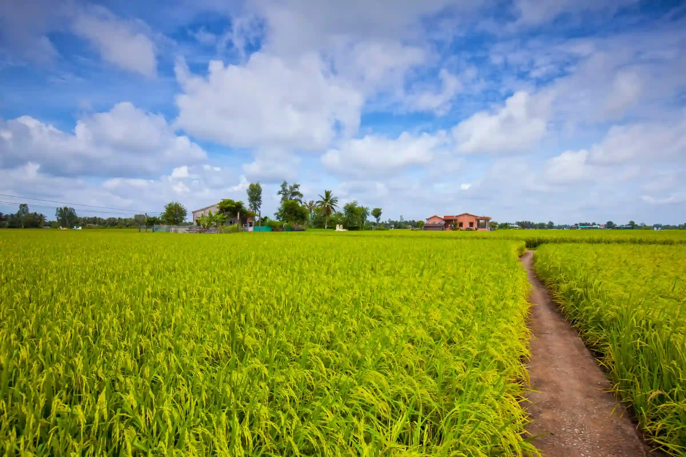 Enhancing Climate Resilience in Business Enterprises